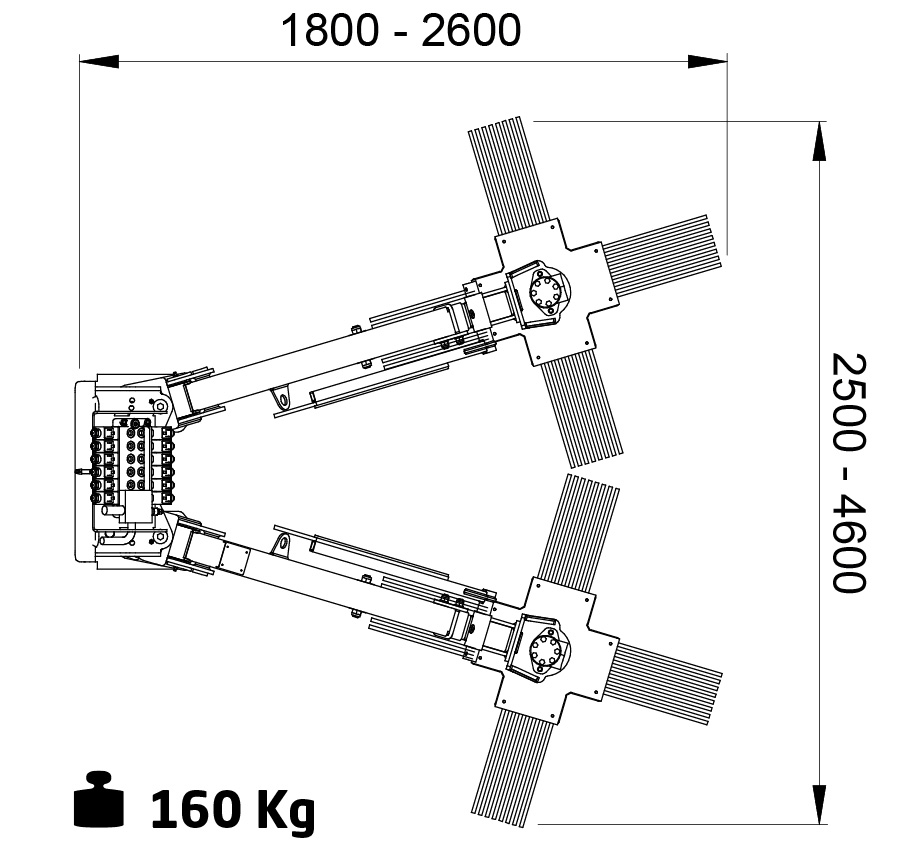 aquila 2 dimensioni1